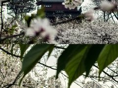 -凤凰沟景区