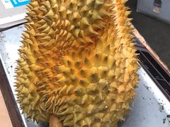 -上海龙吴水胜海发市场