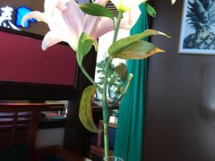 -品泰·泰国餐厅(苏州中心店)