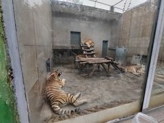-西安秦岭野生动物园