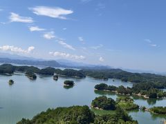 -浔味·山屿湖·正宗淳牌全鱼宴老字号