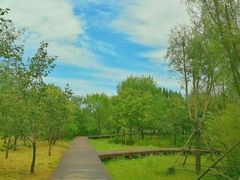 -东郊湿地公园