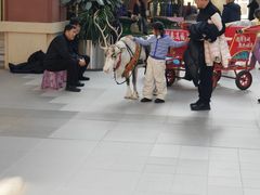 -王府井奥莱棋盘山小镇