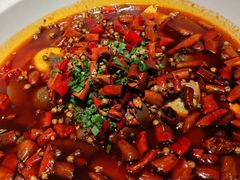 -大鸭梨烤鸭(顺义石园店)