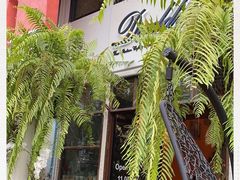 -Daddy Nimman Chiang Mai