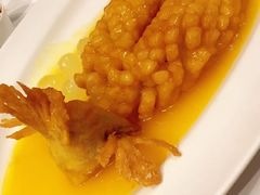 松鼠桂鱼-福1088