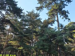-沈阳市东陵公园