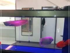 -宝岛眼镜(杭州万塘路旗舰店)