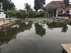 -茯茶镇