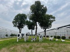 -上膳源有机农场