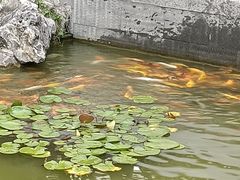 -嘉兴清池酒店温泉