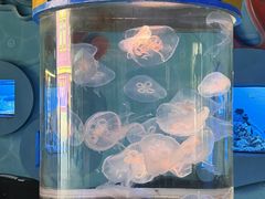 -横店影视城梦幻谷园区
