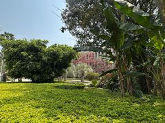 -抚仙湖万达文华酒店