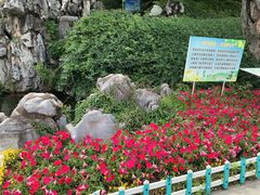 -菊花台公园