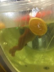-裕月馨月子中心(滨江店)
