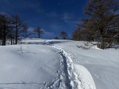 -秦岭风景区