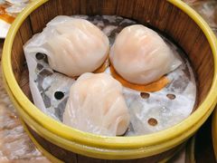 虾饺-廣九广味食堂-猪肚鸡火锅(曼哈顿店)