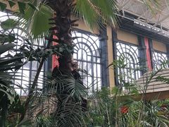 -郑州银基黄帝宫御温泉