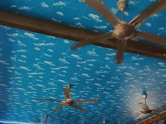 -阿弟特色海鲜餐厅·大排档(平潭店)