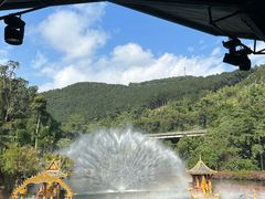 -西双版纳原始森林公园
