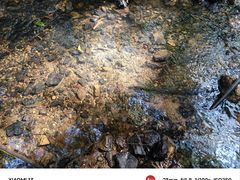 -滴水岩森林公园