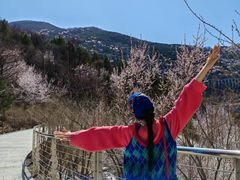 -白水寺森林公园