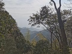 -莫干山风景区