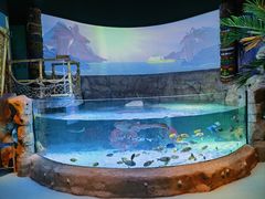 -沈阳海洋探索中心