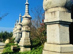 -长沙黑麋峰国家森林公园
