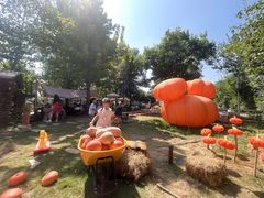 -HERRE·FARM 赫尔露营农场·团建聚会包场