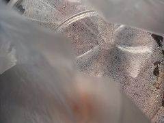 -上海枇杷烤鸭(燕丰商场店)