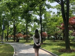 -东湖落雁景区