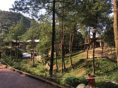 -梦幻奥陶纪景区