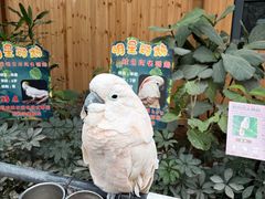 -南宫五洲植物乐园