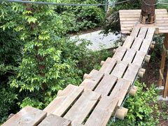 -芦仙山景区-飞越丛林探险乐园