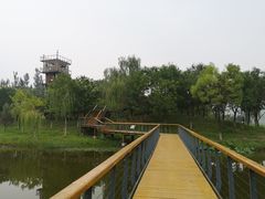 -东郊湿地公园