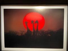 -罗红摄影艺术馆