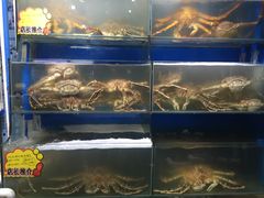 -蚝专家(北滘店)