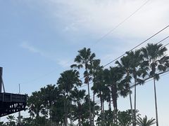 -东芭乐园