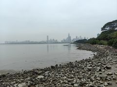 -深圳湾公园(南山区)