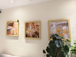 -芳朵美容养生SPA