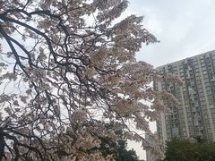 -红星桥(地铁站)