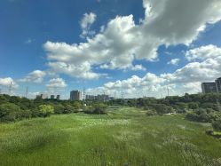 -雅馨国际月子中心