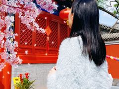 -西海子公园