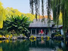 -趵突泉景区