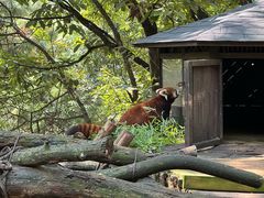 -云南野生动物园