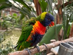 -南宫五洲植物乐园