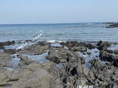 -涉地可支