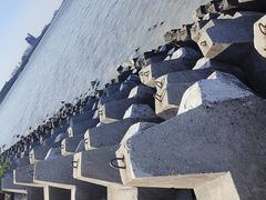-上海滨江森林公园