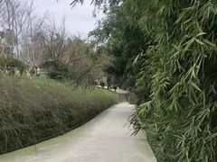 -南山植物园
